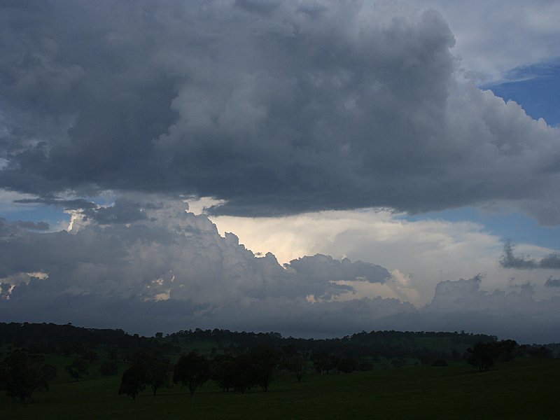 thunderstorm cumulonimbus_incus : S of Walcha, NSW   20 November 2005