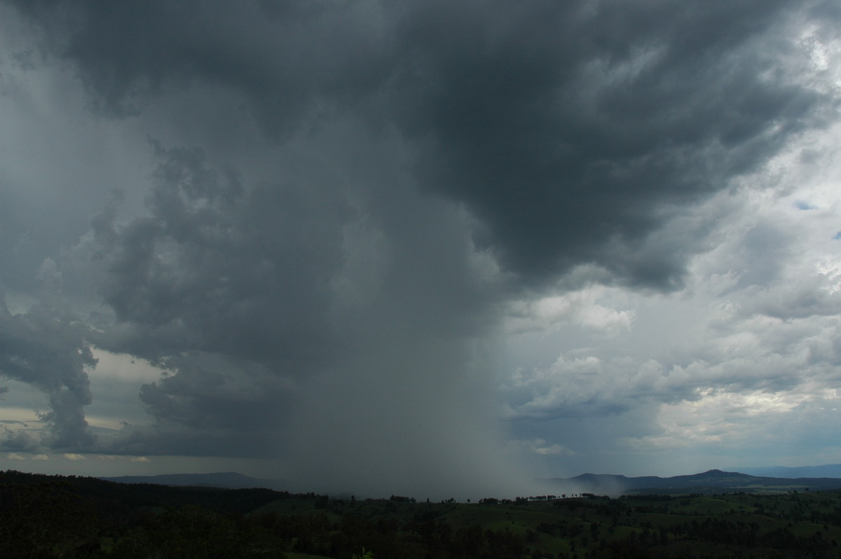 raincascade precipitation_cascade : Mallanganee NSW   20 November 2005