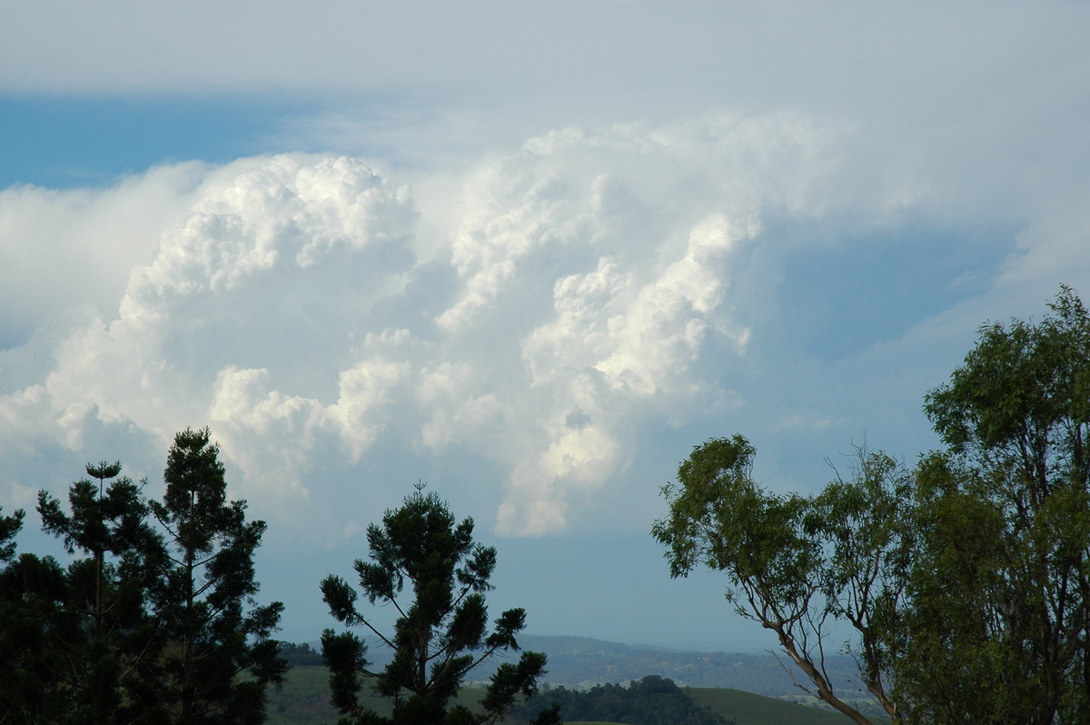 thunderstorm cumulonimbus_calvus : Mallanganee NSW   20 November 2005