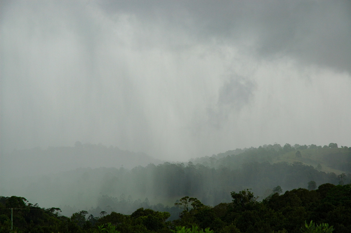 precipitation precipitation_rain : Tregeagle, NSW   23 November 2005