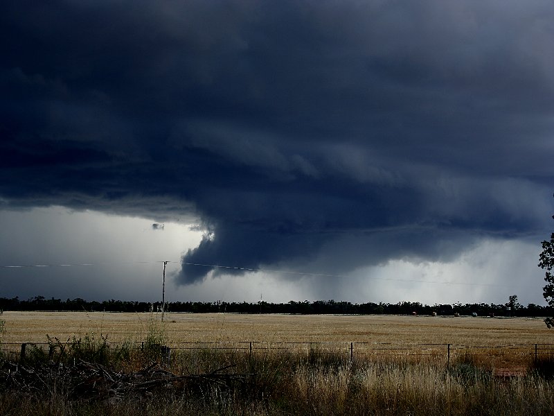 wallcloud thunderstorm_wall_cloud : W of Barradine, NSW   25 November 2005