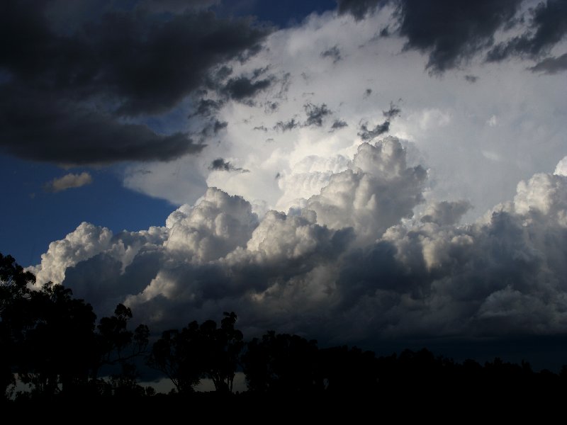 cumulonimbus supercell_thunderstorm : W of Barradine, NSW   25 November 2005