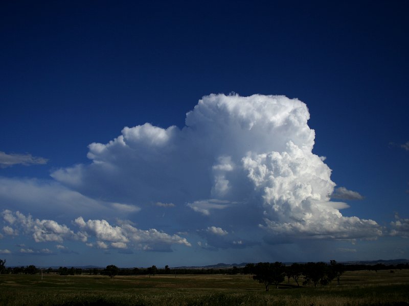 thunderstorm cumulonimbus_incus : E of Mendoran, NSW   26 November 2005