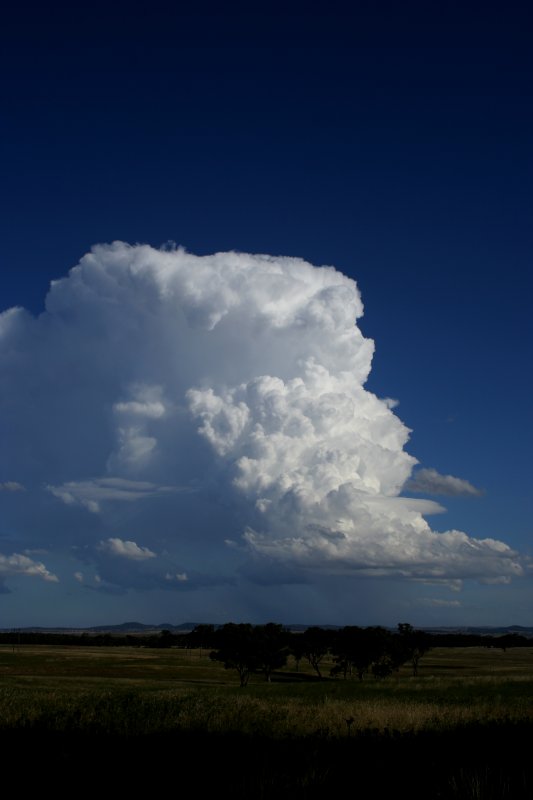 thunderstorm cumulonimbus_incus : E of Mendoran, NSW   26 November 2005