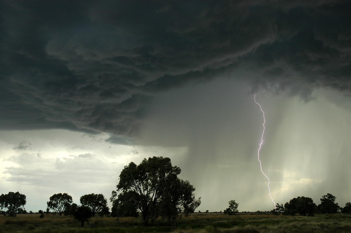 cumulonimbus thunderstorm_base : Collarenabri, NSW   26 November 2005