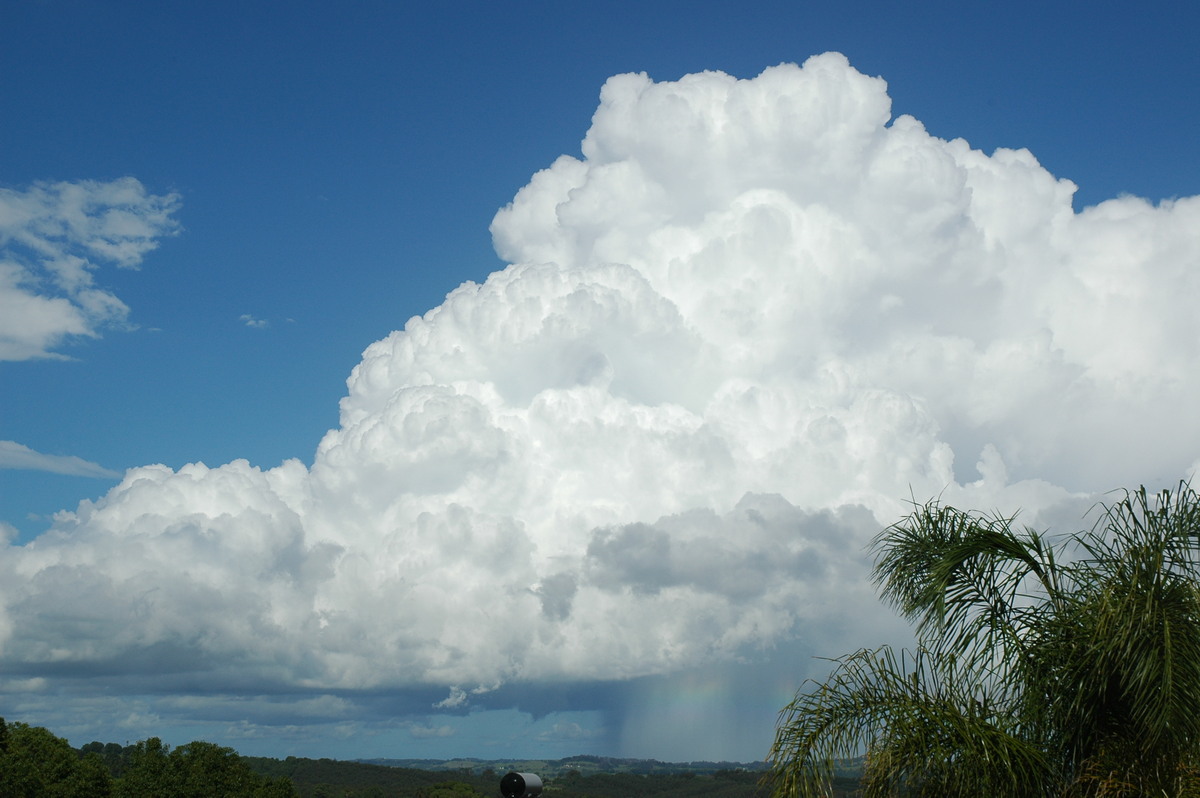 thunderstorm cumulonimbus_incus : Clunes, NSW   29 November 2005
