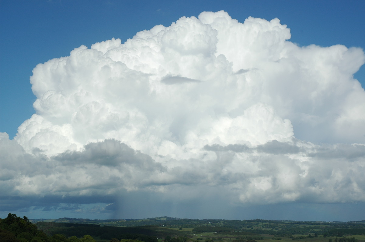 thunderstorm cumulonimbus_incus : Clunes, NSW   29 November 2005