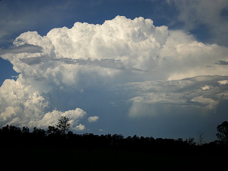 thunderstorm cumulonimbus_incus : Bringelly, NSW   1 December 2005