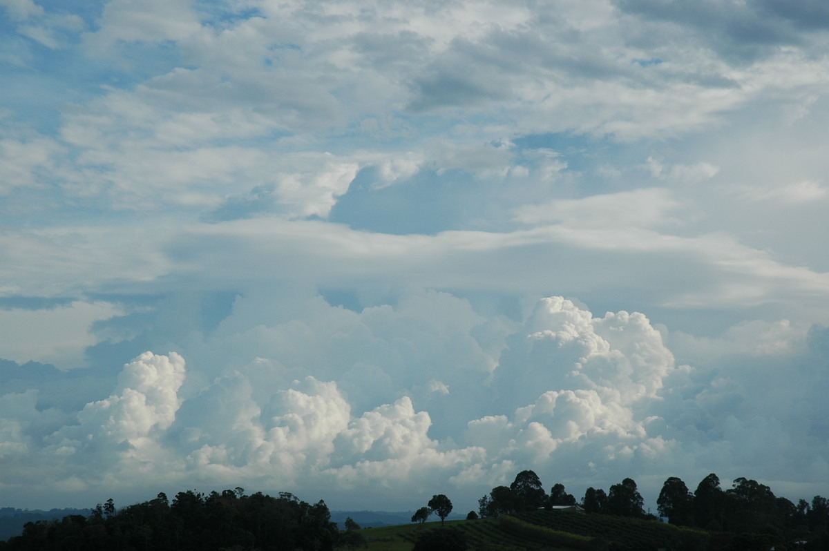 thunderstorm cumulonimbus_incus : McLeans Ridges, NSW   1 December 2005