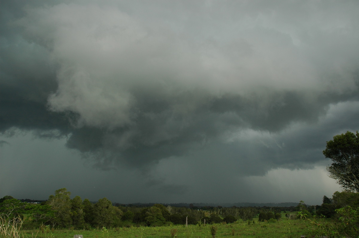 cumulonimbus thunderstorm_base : Tregeagle, NSW   2 December 2005