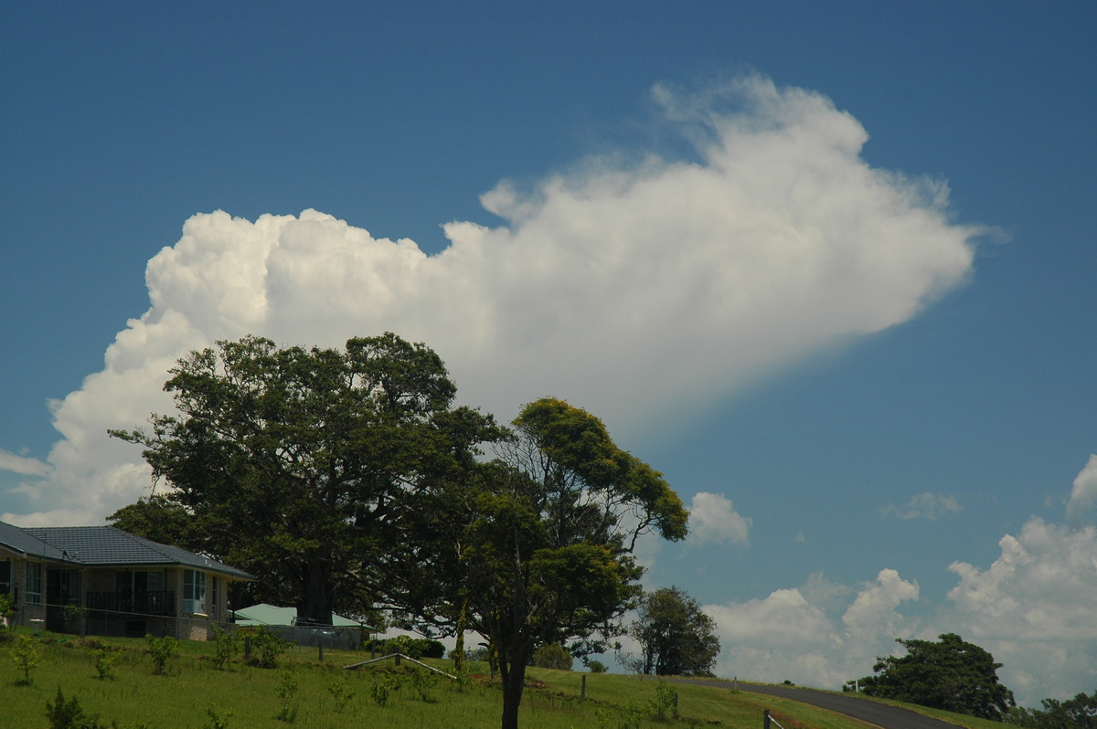 thunderstorm cumulonimbus_incus : McLeans Ridges, NSW   9 December 2005