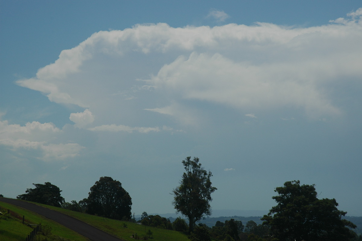 thunderstorm cumulonimbus_incus : McLeans Ridges, NSW   13 December 2005