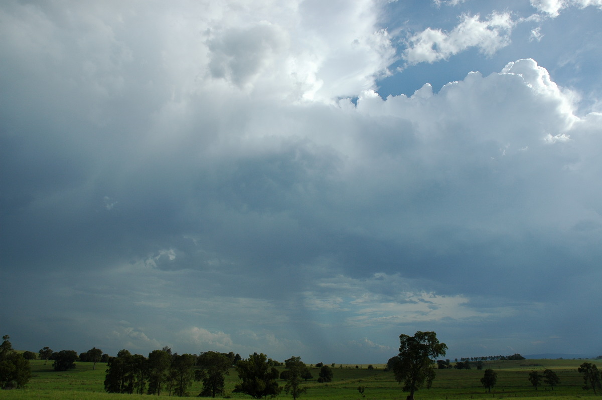 cumulus congestus : near Kyogle, NSW   13 December 2005