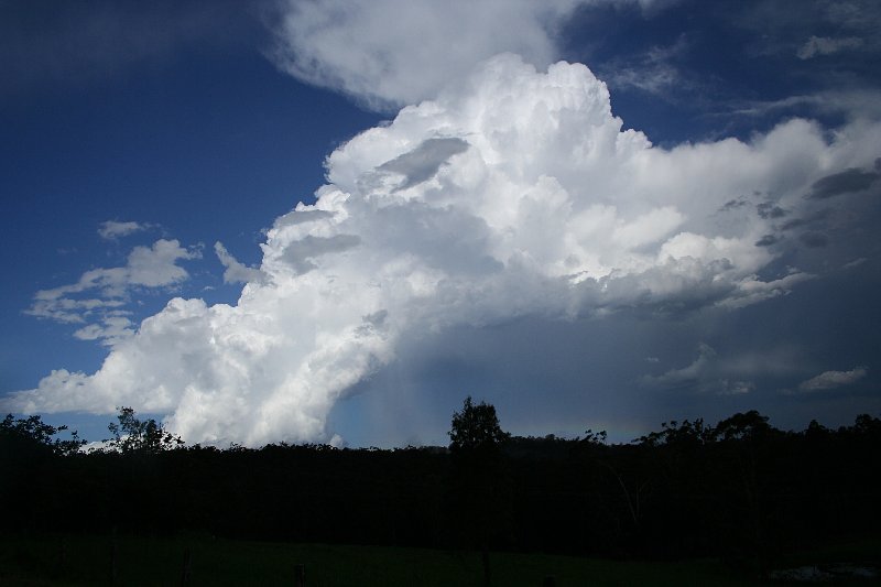 updraft thunderstorm_updrafts : near Nabiac, NSW   17 December 2005