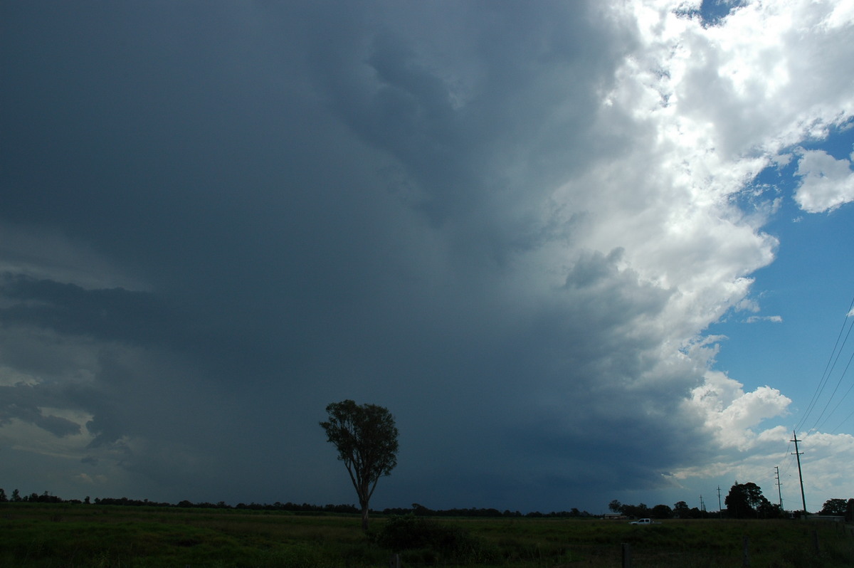 thunderstorm cumulonimbus_incus : W of Broadwater, NSW   17 December 2005