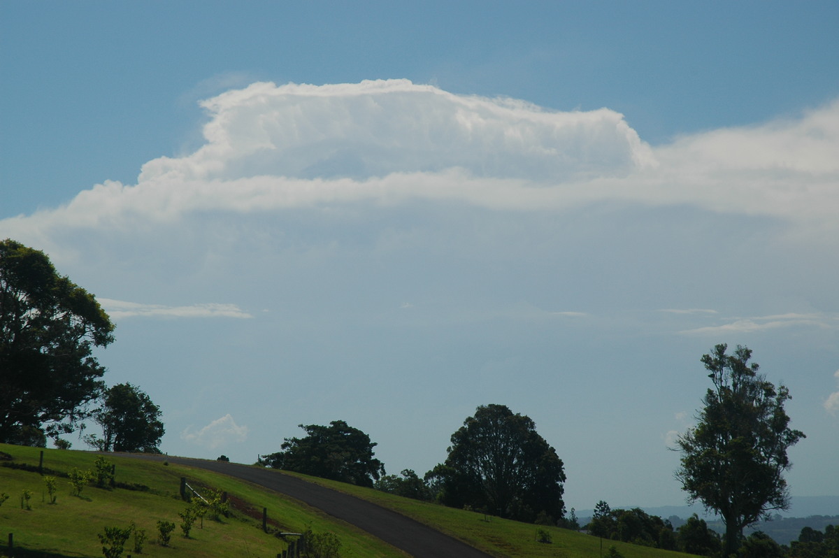 thunderstorm cumulonimbus_incus : McLeans Ridges, NSW   23 December 2005