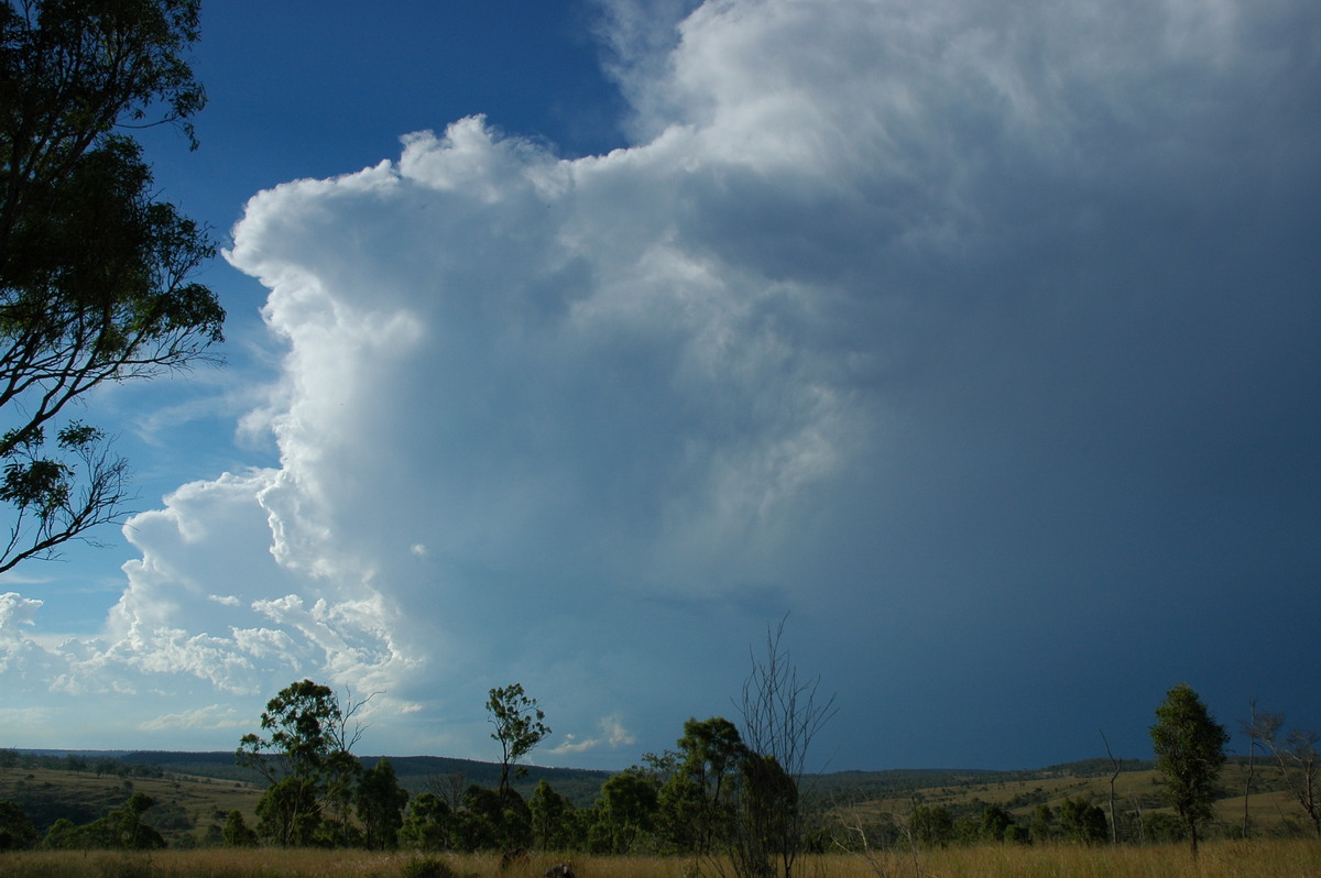 thunderstorm cumulonimbus_incus : near Yarraman, QLD   26 December 2005