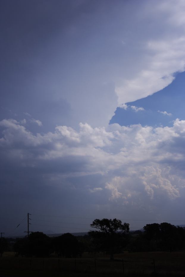 thunderstorm cumulonimbus_incus : near Rylstone, NSW   24 January 2006