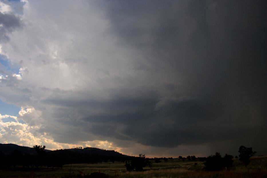 cumulonimbus thunderstorm_base : near Mudgee, NSW   24 January 2006