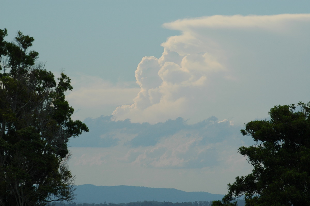 thunderstorm cumulonimbus_incus : McLeans Ridges, NSW   24 January 2006
