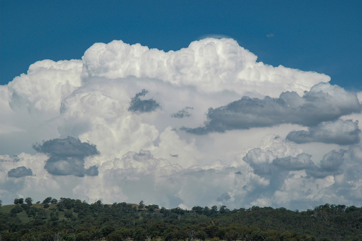 thunderstorm cumulonimbus_incus : near Glen Innes, NSW   4 February 2006