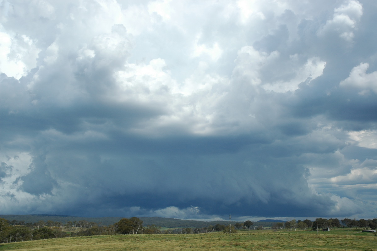shelfcloud shelf_cloud : near Glen Innes, NSW   4 February 2006