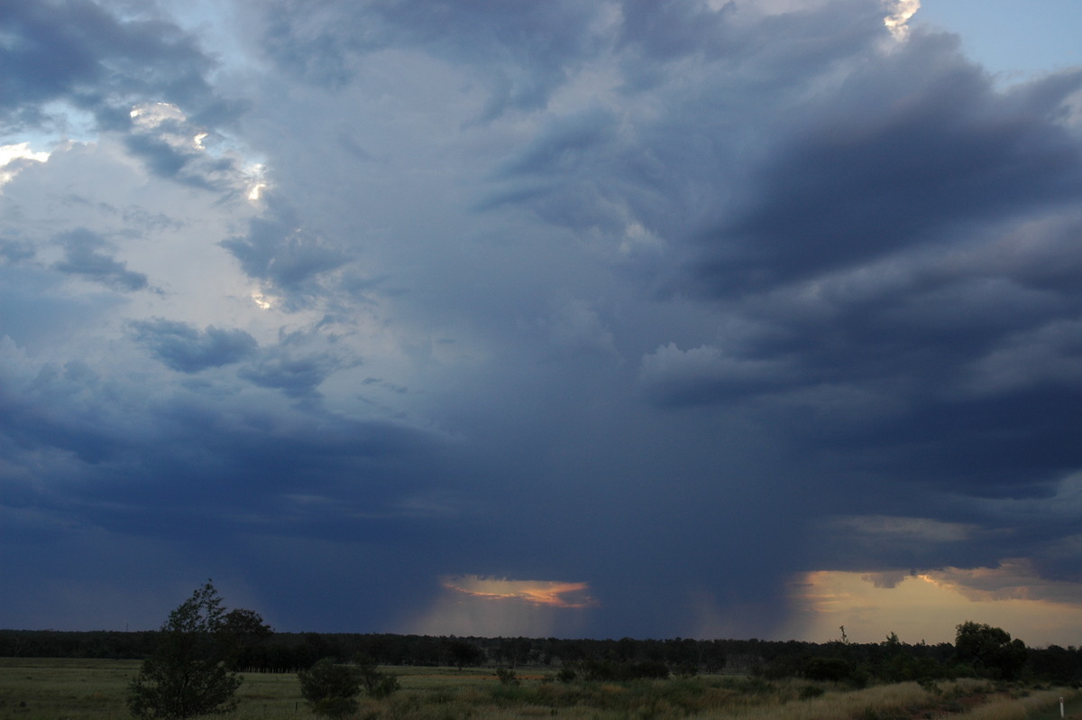 thunderstorm cumulonimbus_incus : near Bonshaw, NSW   4 February 2006