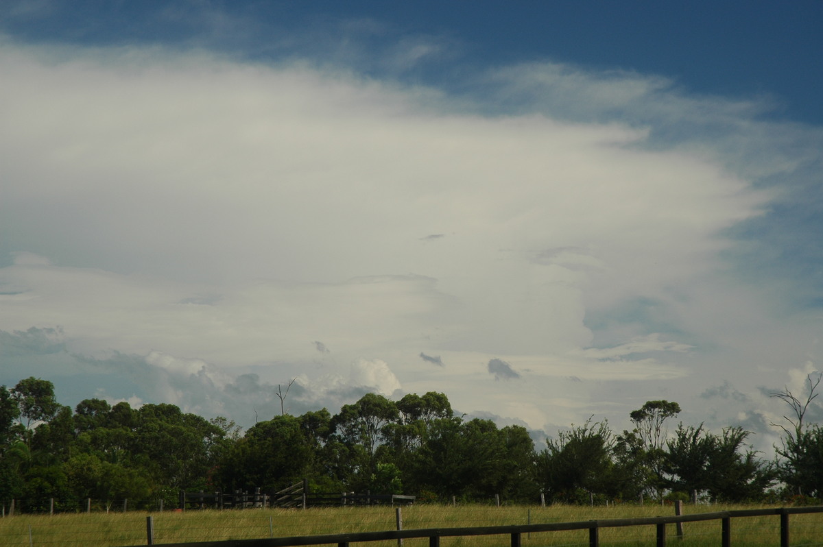 anvil thunderstorm_anvils : near Grafton, NSW   12 February 2006