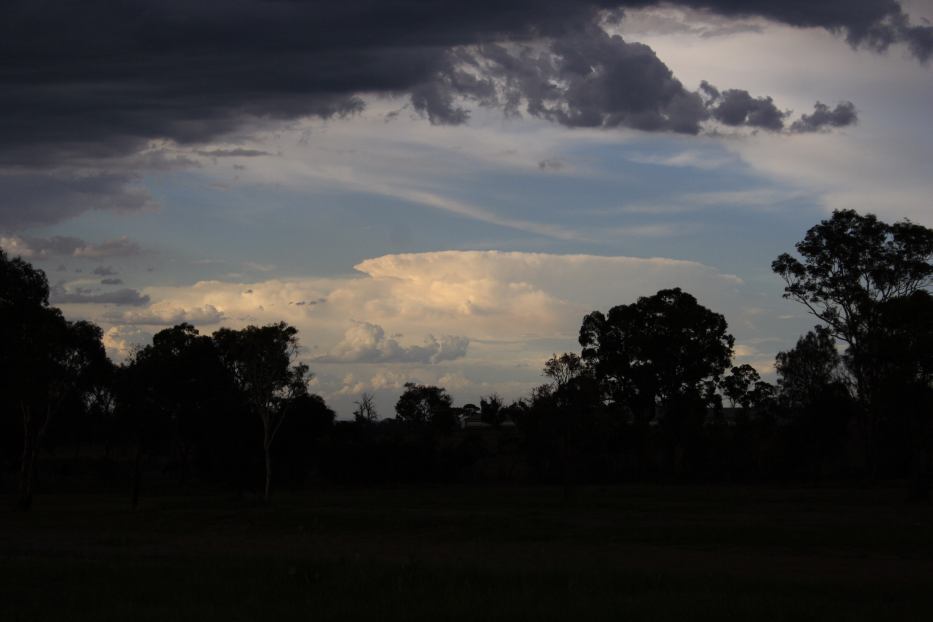 thunderstorm cumulonimbus_incus : Greta East, NSW   19 February 2006