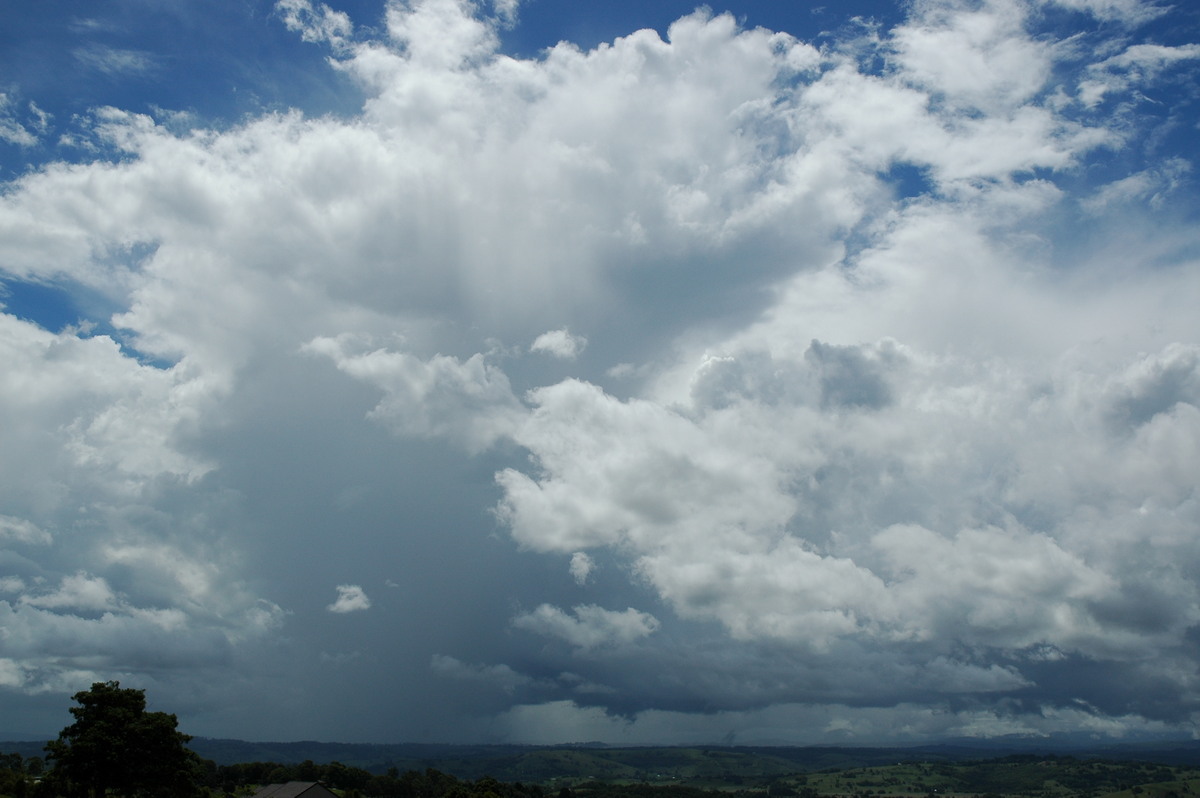 thunderstorm cumulonimbus_incus : McLeans Ridges, NSW   21 February 2006