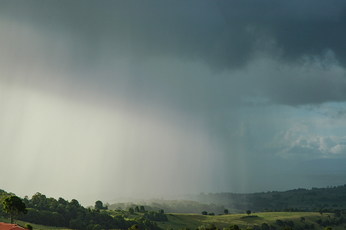 raincascade precipitation_cascade : McLeans Ridges, NSW   22 February 2006