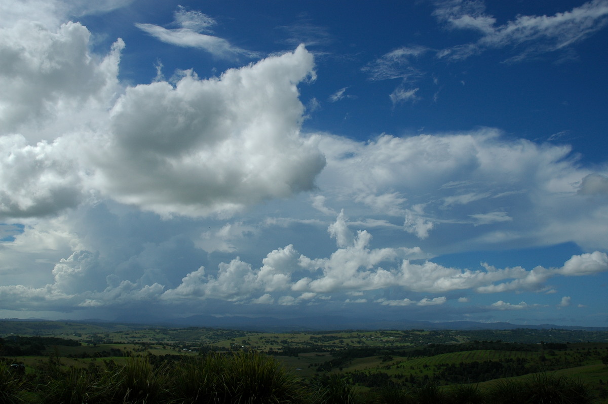 thunderstorm cumulonimbus_incus : McLeans Ridges, NSW   26 February 2006