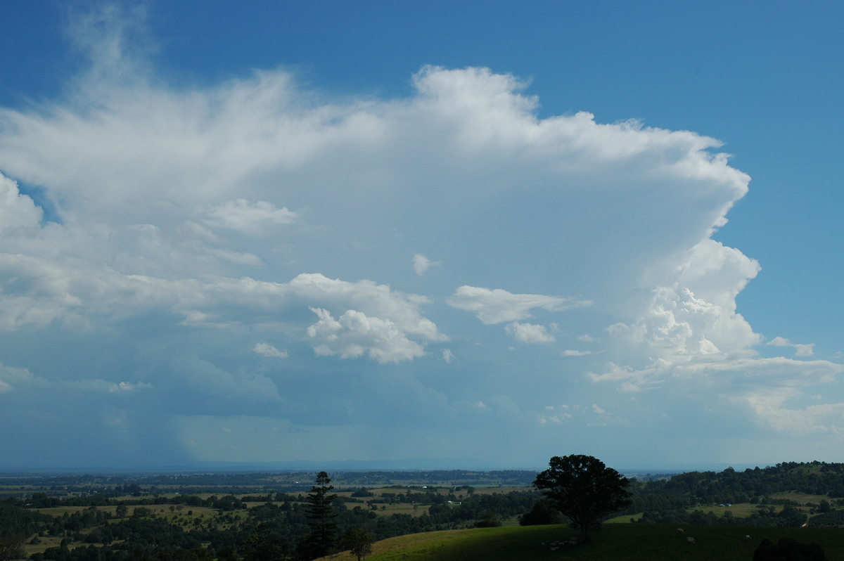 thunderstorm cumulonimbus_incus : Tregeagle, NSW   4 April 2006