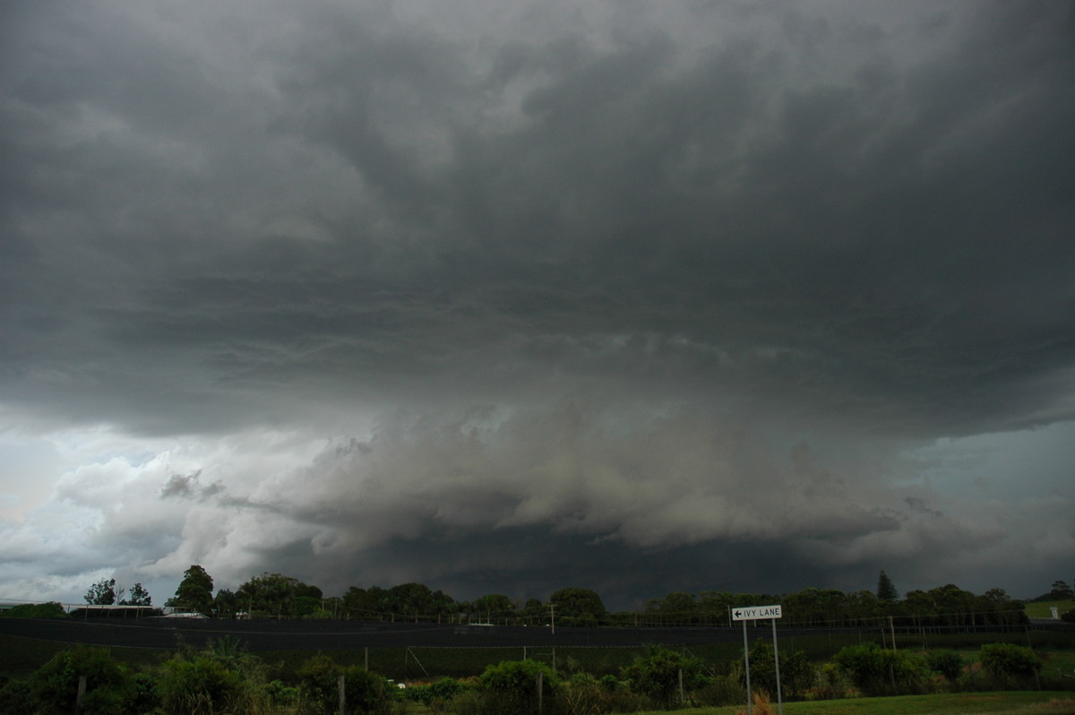 cumulonimbus thunderstorm_base : Knockrow, NSW   4 April 2006