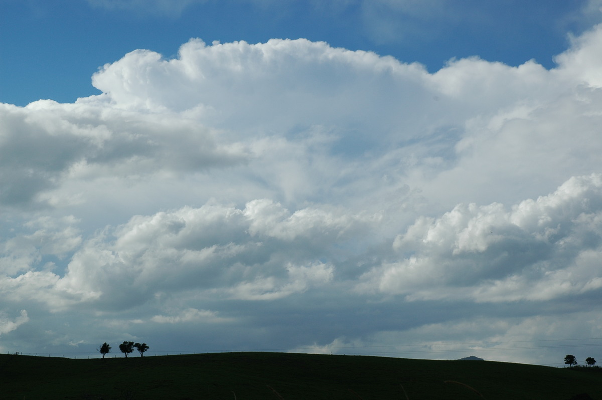 thunderstorm cumulonimbus_incus : near Kyogle, NSW   21 April 2006