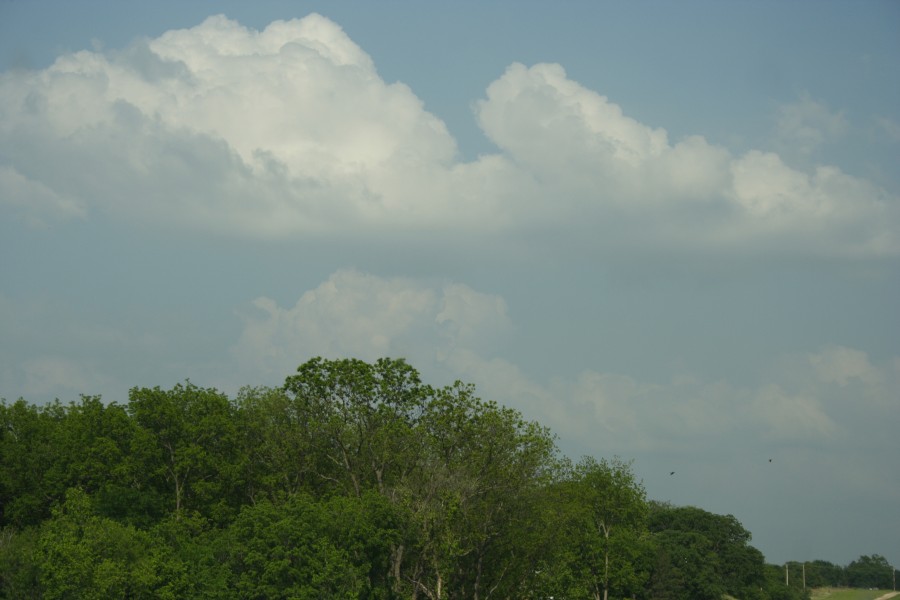 cumulus humilis : McAlester, Oklahoma, USA   9 May 2006