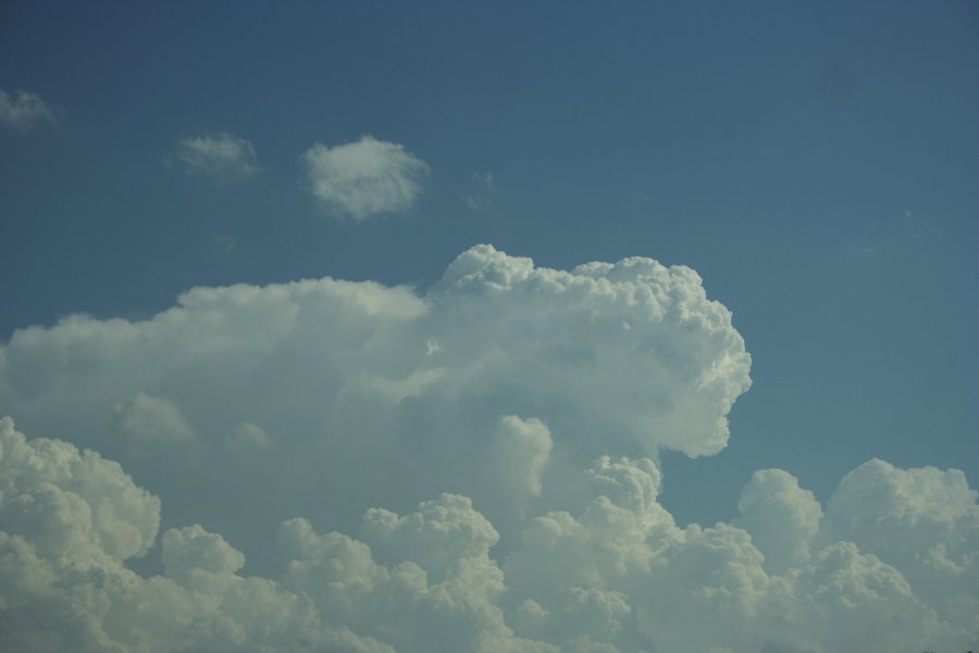 thunderstorm cumulonimbus_calvus : S of Senora, Texas, USA   14 May 2006