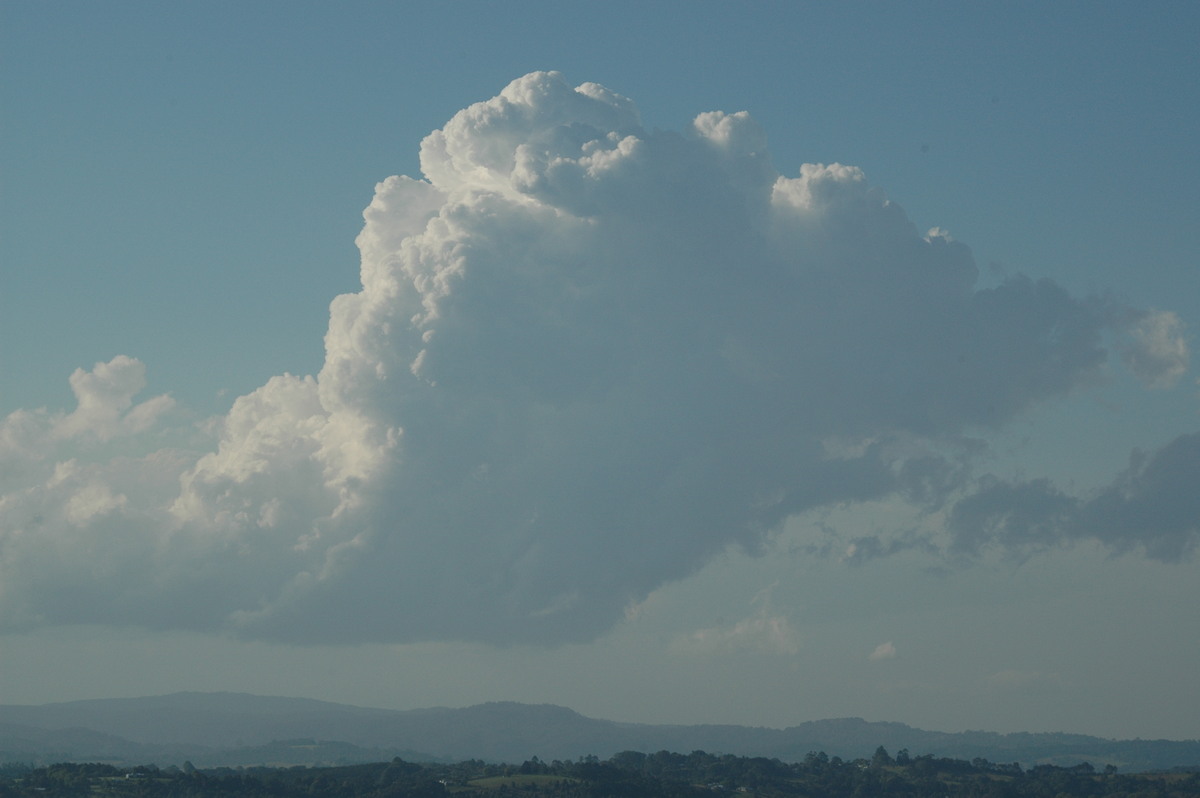 cumulus congestus : McLeans Ridges, NSW   21 August 2006