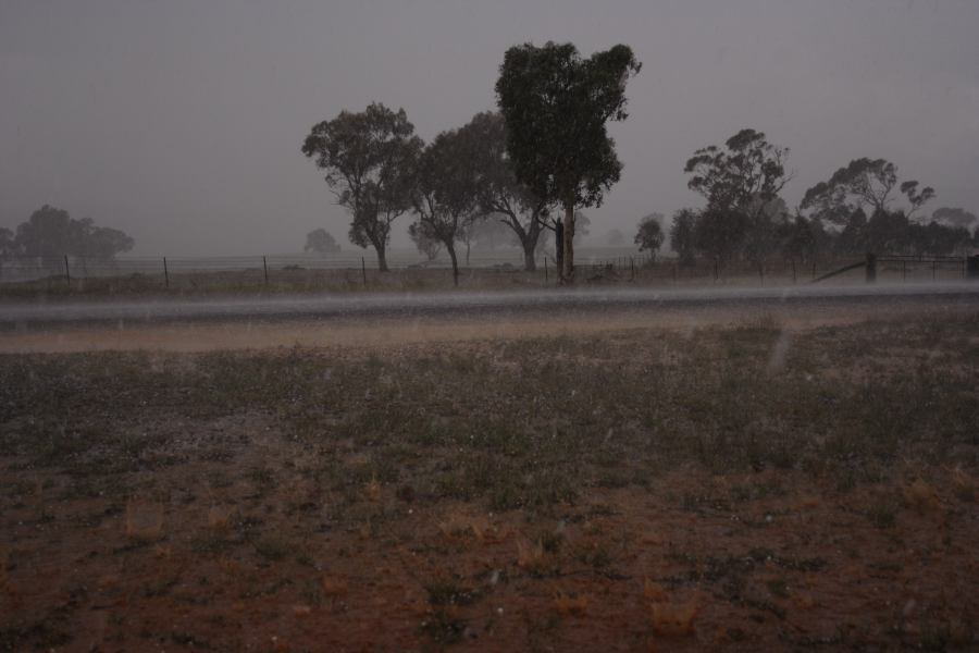 precipitation precipitation_rain : Walcha, NSW   19 October 2006