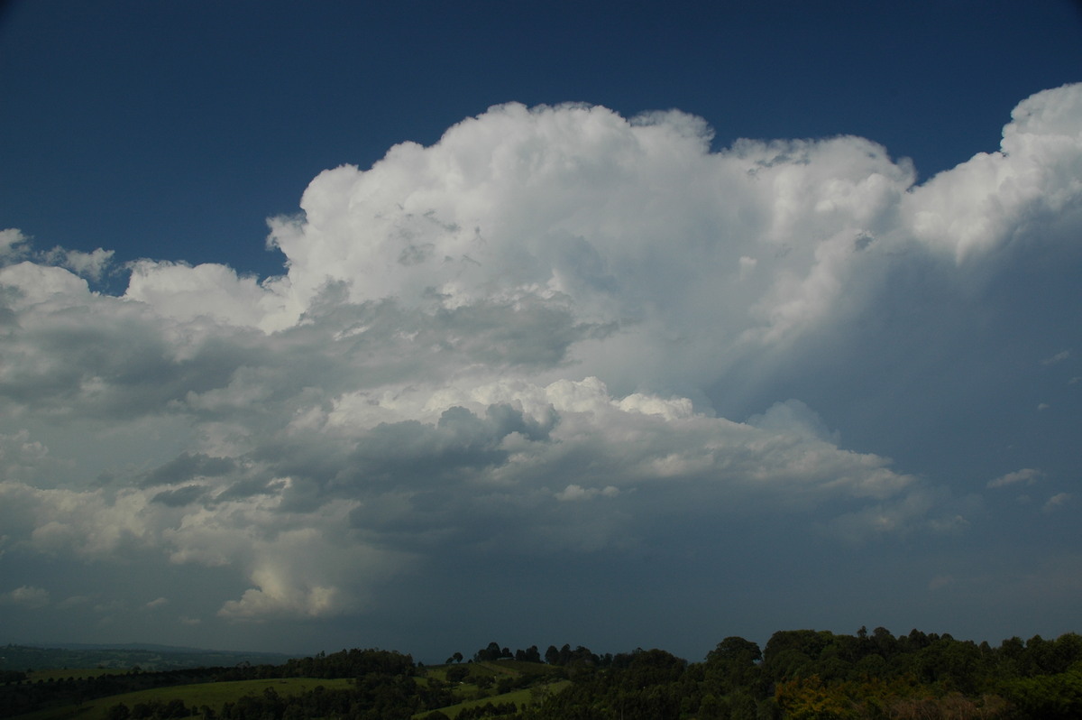 cumulonimbus supercell_thunderstorm : McLeans Ridges, NSW   15 November 2006