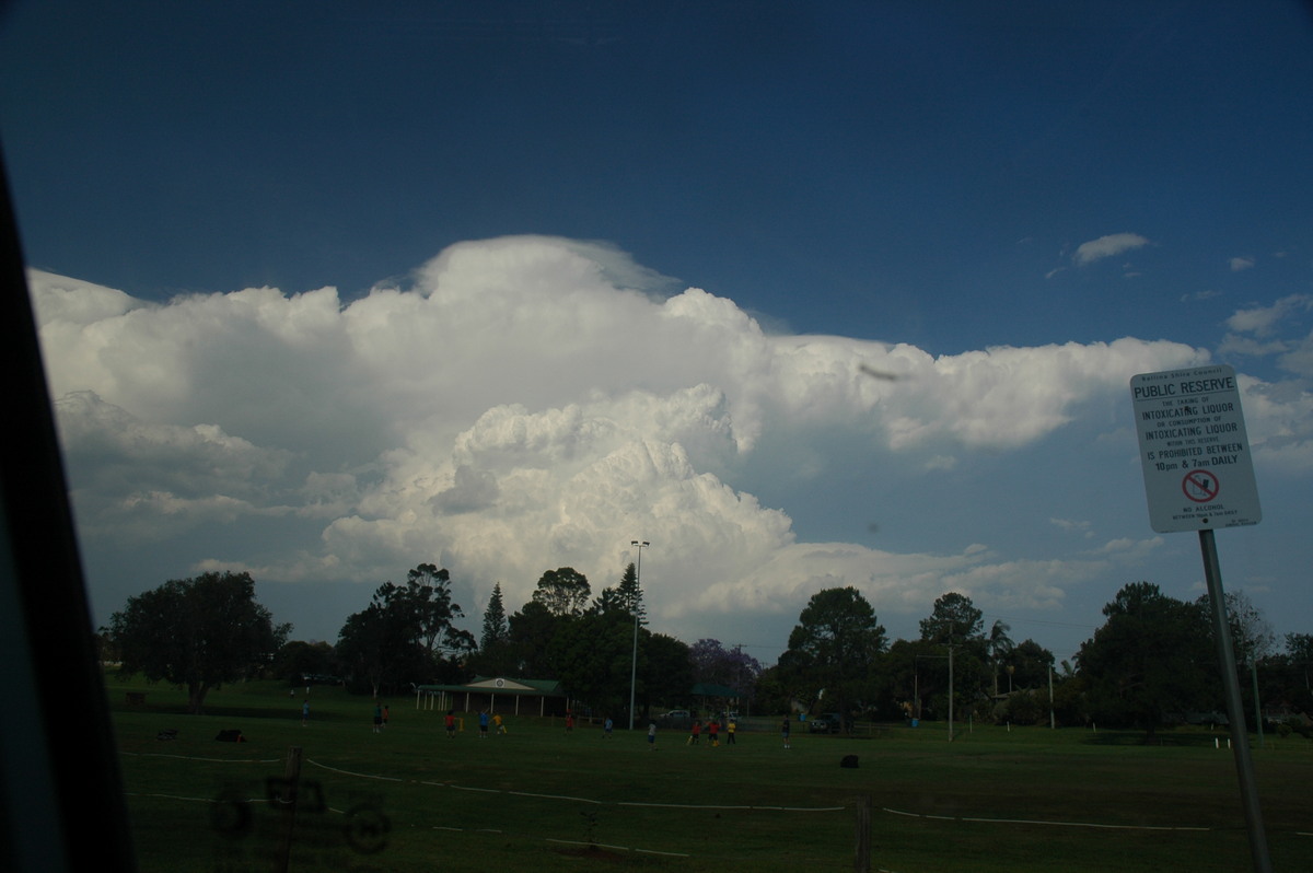 pileus pileus_cap_cloud : Alstonville, NSW   15 November 2006