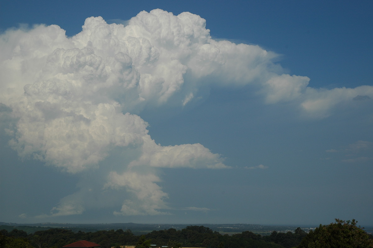 updraft thunderstorm_updrafts : Alstonville, NSW   15 November 2006