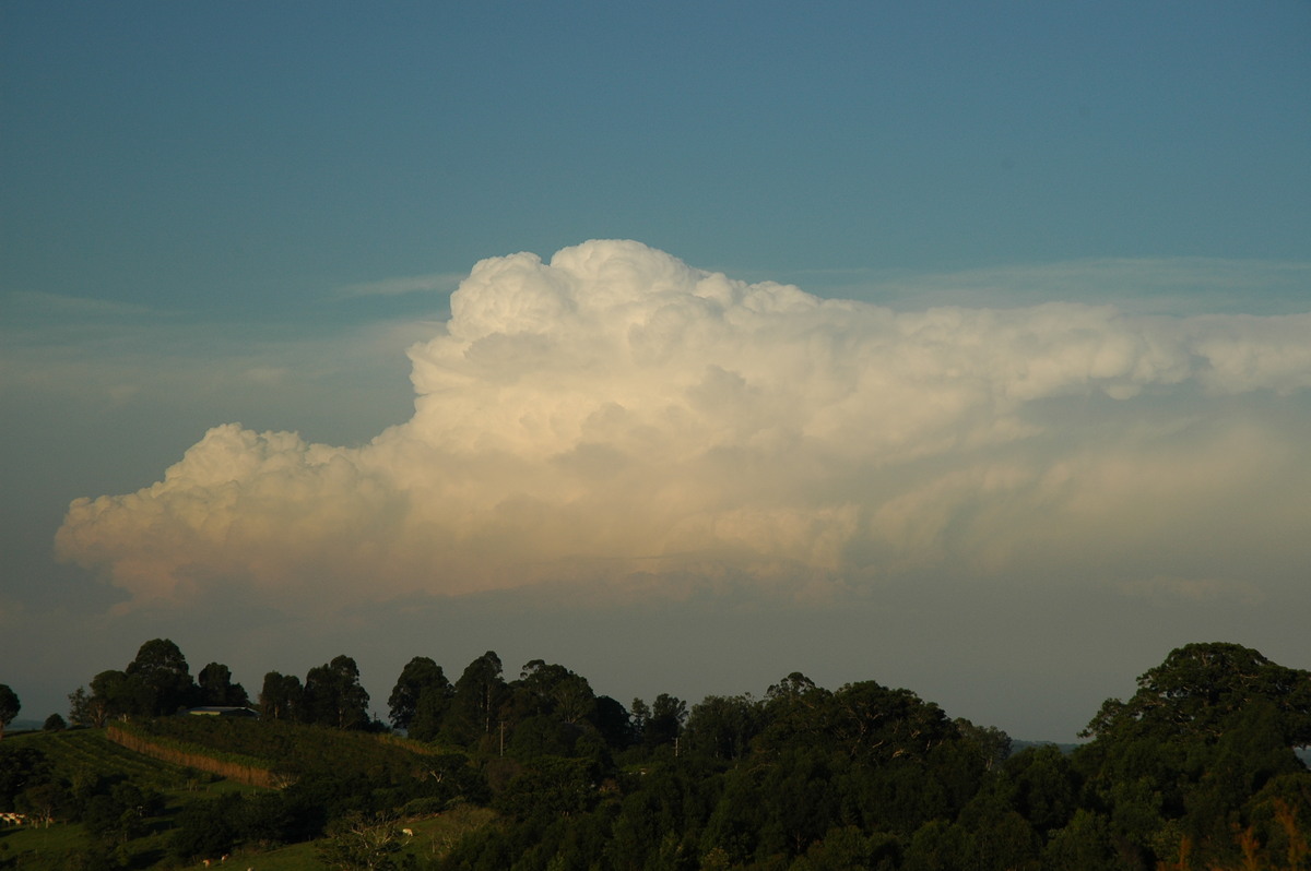 thunderstorm cumulonimbus_incus : McLeans Ridges, NSW   15 November 2006