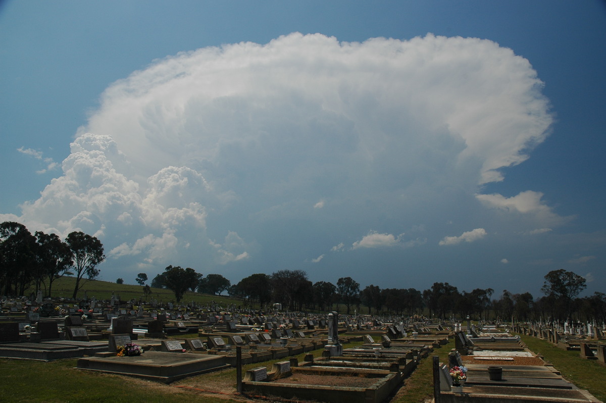 thunderstorm cumulonimbus_incus : Tenterfield, NSW   24 November 2006