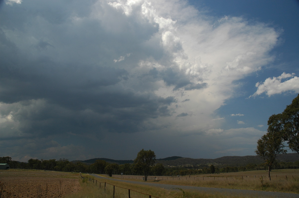 thunderstorm cumulonimbus_incus : Tenterfield, NSW   24 November 2006