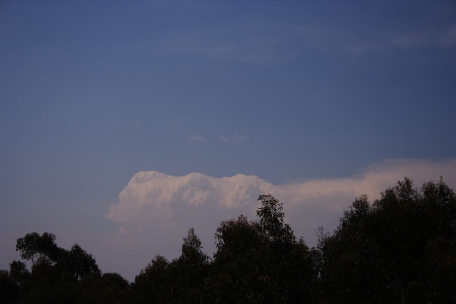 thunderstorm cumulonimbus_incus : Bell, NSW   26 November 2006