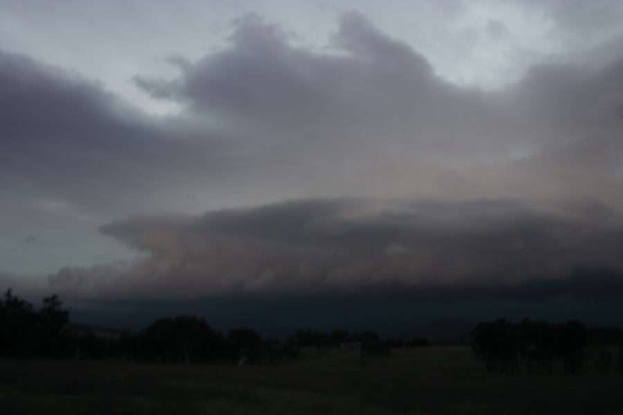 shelfcloud shelf_cloud : 20km S of Tenterfield, NSW   27 November 2006