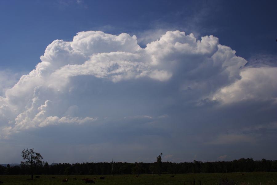 thunderstorm cumulonimbus_incus : near Taree, NSW   28 November 2006