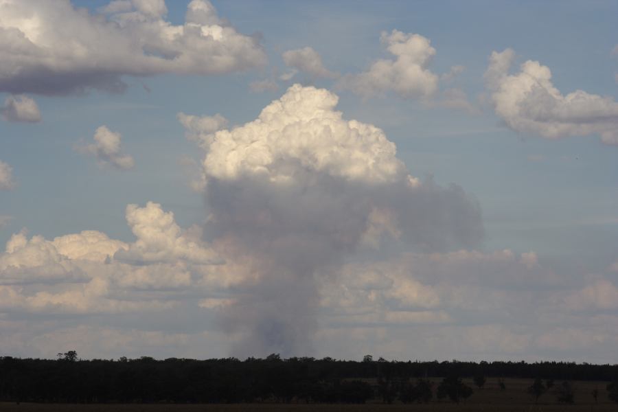 cumulus pyrocumulus : E of Premer, NSW   13 December 2006