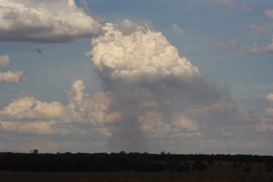 cumulus pyrocumulus : E of Premer, NSW   13 December 2006
